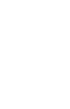 The River Falls Project Main Logo